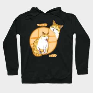 Kayden Cat Eleceed Chubby Hoodie